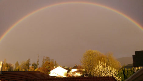 Chilliwack rainbow