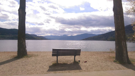 Lakeside bench