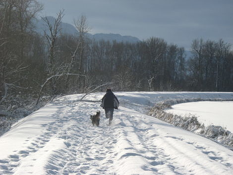 Boy Running with Dog in the Snow