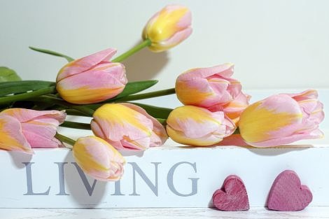 Pastel Pink and Yellow Tulips